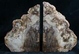 Madagascar Petrified Wood Bookends - Tall, Wide #7615-1